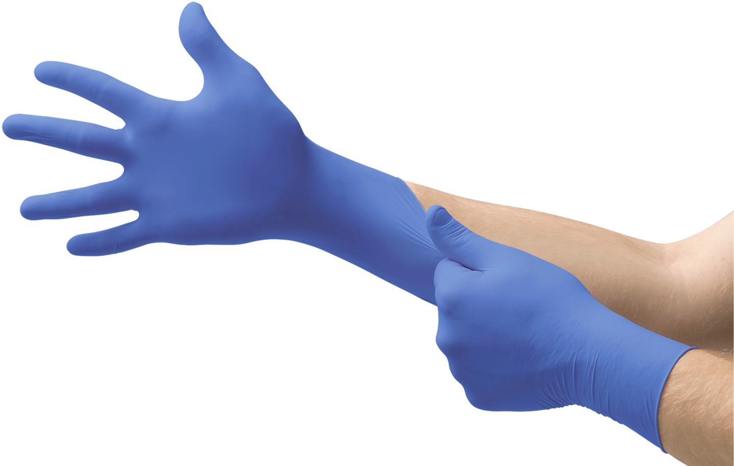 Ansell Nitrile Disposable Gloves — Legion Safety Products